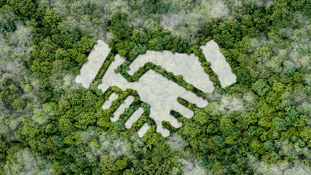 A photo illustration of a forest with a handshake icon superimposed over it.