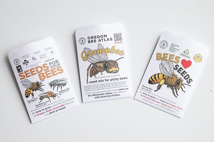 Three printed seed packets for Oregon State University, each with different drawings of bees.
